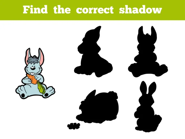 Trouver l'ombre correcte (lapin ) — Image vectorielle