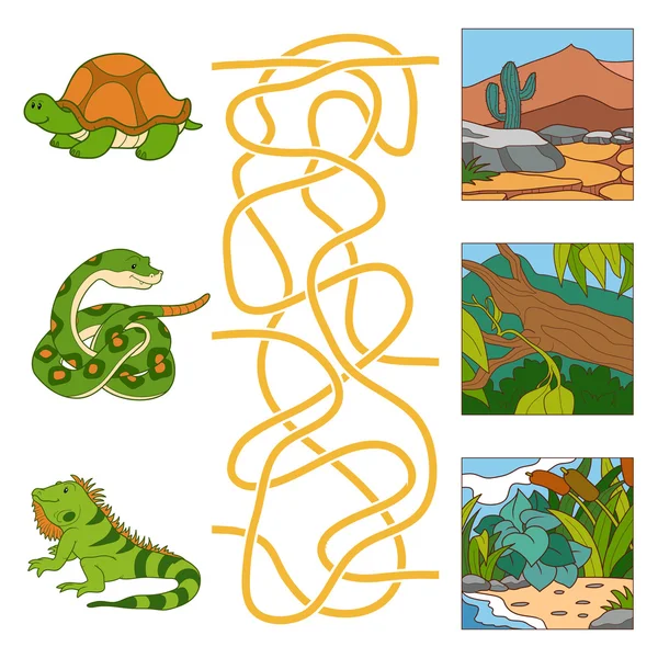 Laberinto de caza (tortuga, serpiente, iguana y hábitat ) — Vector de stock