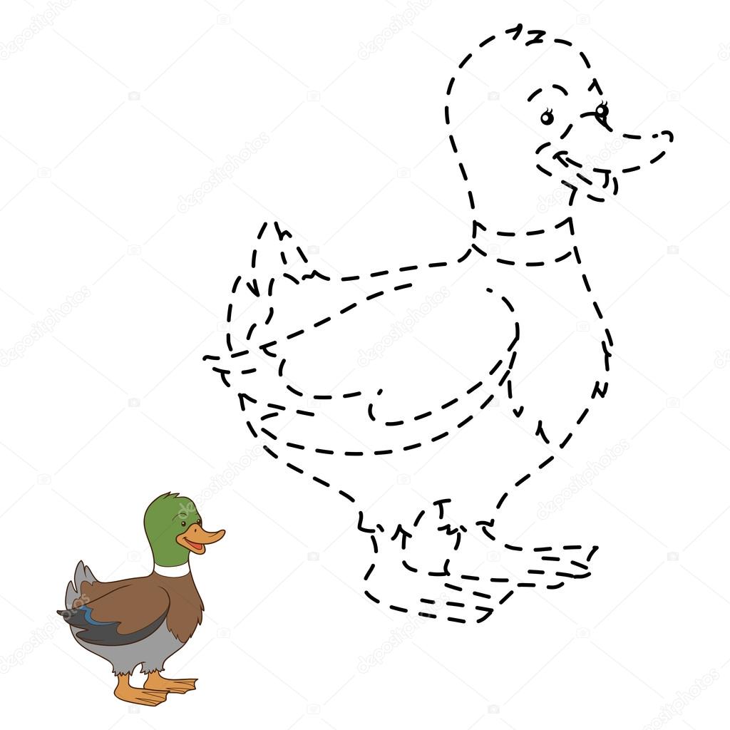 Connect the dots (duck)