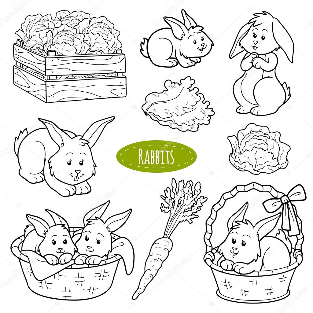 Set of cute farm animals and objects, vector family rabbits