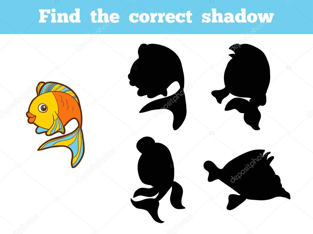 Find the correct shadow (fish)