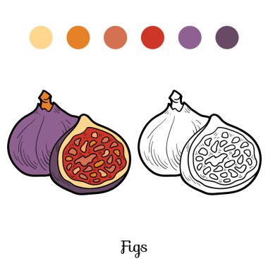 Coloring book: fruits and vegetables (figs) clipart