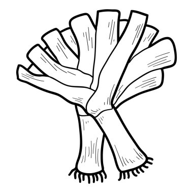 Boyama kitabı: meyve ve sebze (pırasa)