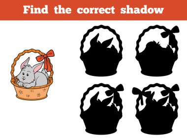 Doğru gölge (tavşan ith sepet bulmak)