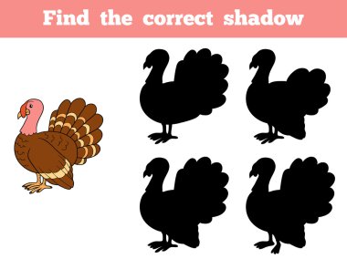 Doğru gölge (Türkiye bulmak)