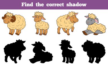 Doğru gölge (koyun aile bul)