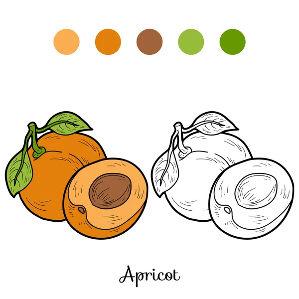 Libro para colorear: frutas y verduras (albaricoque ) — Vector de stock