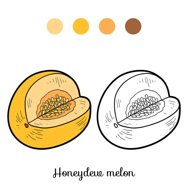 Malbuch: Obst und Gemüse (Honigmelone)) — Stockvektor