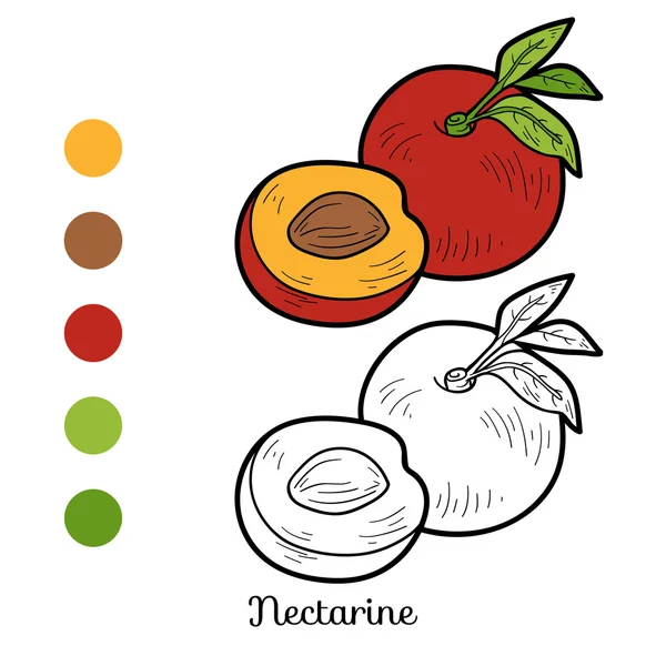 Libro para colorear: frutas y verduras (nectarina ) — Vector de stock