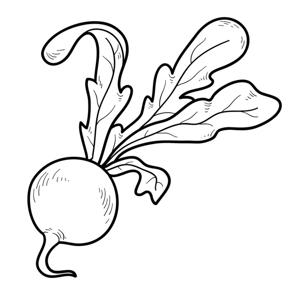 Målarbok: frukt och grönsaker (rädisor) — Stock vektor