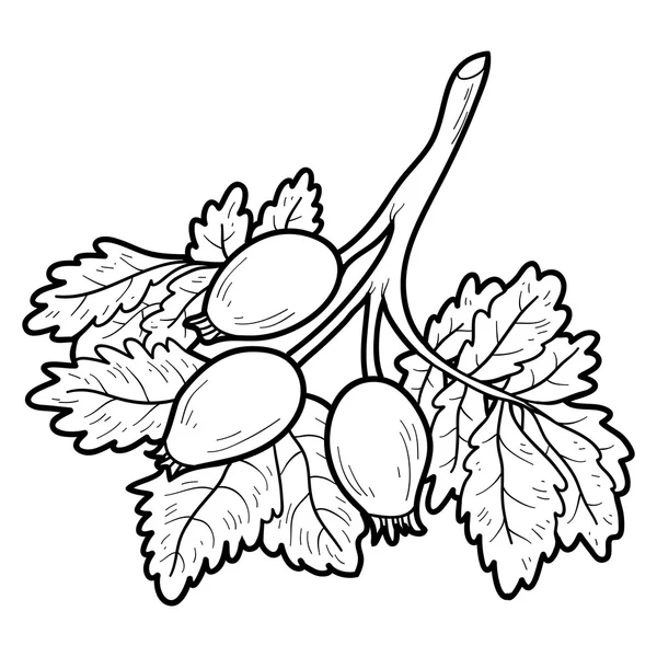 Livro para colorir: frutas e legumes (rosehips ) — Vetor de Stock
