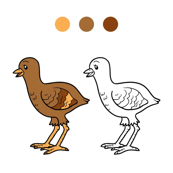 Coloring book (turkey chick) — Stock Vector