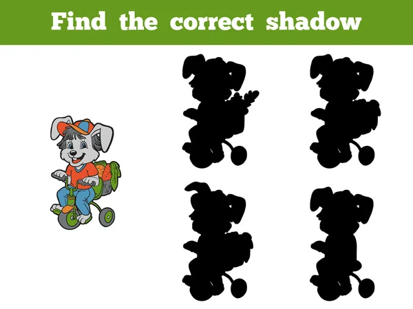 Find the correct shadow (rabbit and bicycle) — Stock Vector