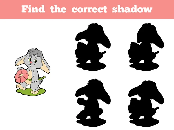 找到正确的阴影 (兔和花) — 图库矢量图片