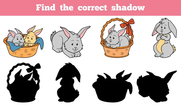 Find the correct shadow (rabbits set) — Stock Vector