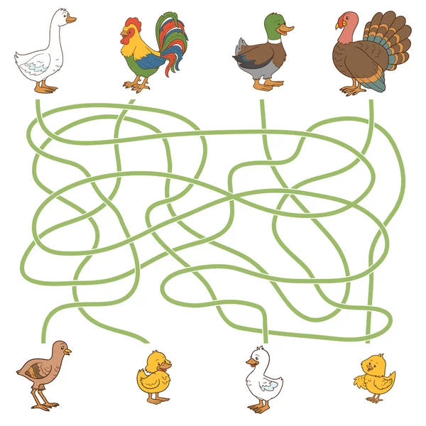 Gioco del labirinto: aiutare i giovani a trovare i loro genitori (uccelli da fattoria: anatra , — Vettoriale Stock