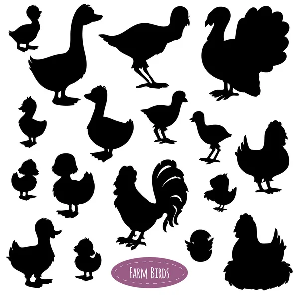 Set of silhouettes of birds on the farm (chicken, duck, turkey, — Stock Vector