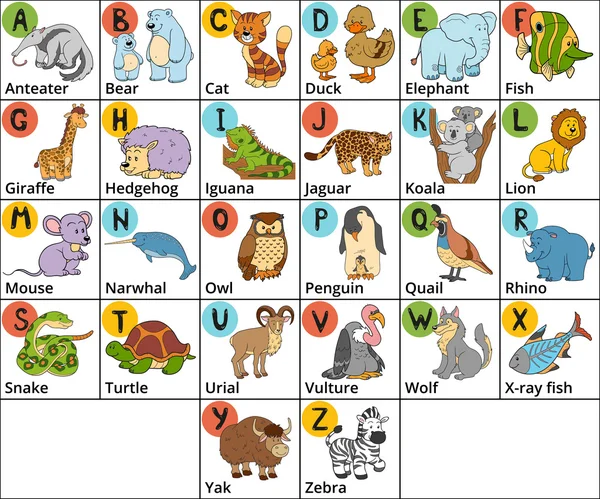Vector color zoo alphabet with cute animals on white background. Royalty Free Stock Vectors