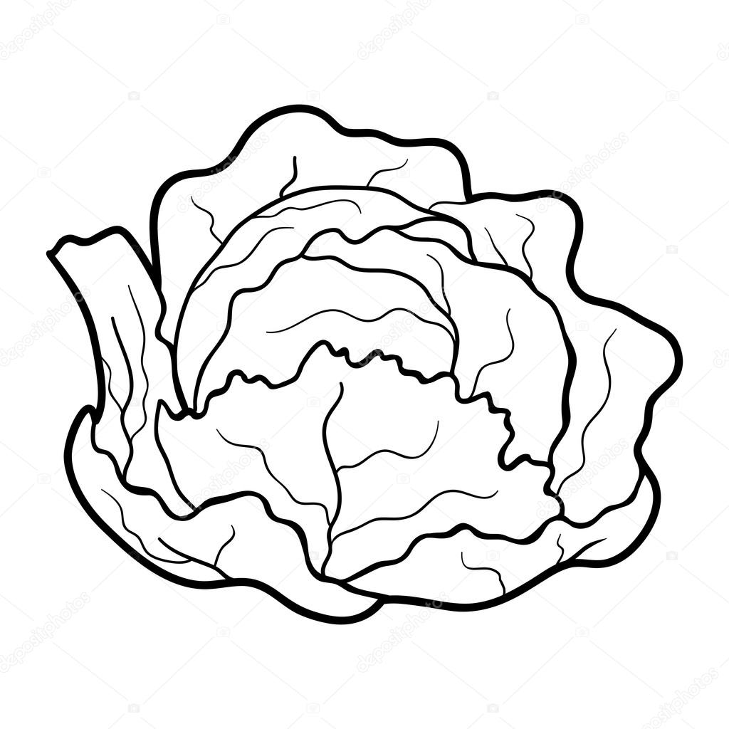 Coloring book: fruits and vegetables (cabbage)