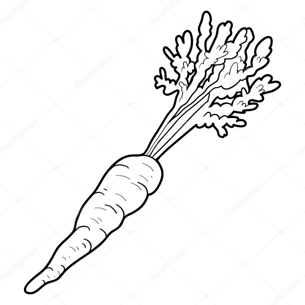 Coloring book: fruits and vegetables (carrot)