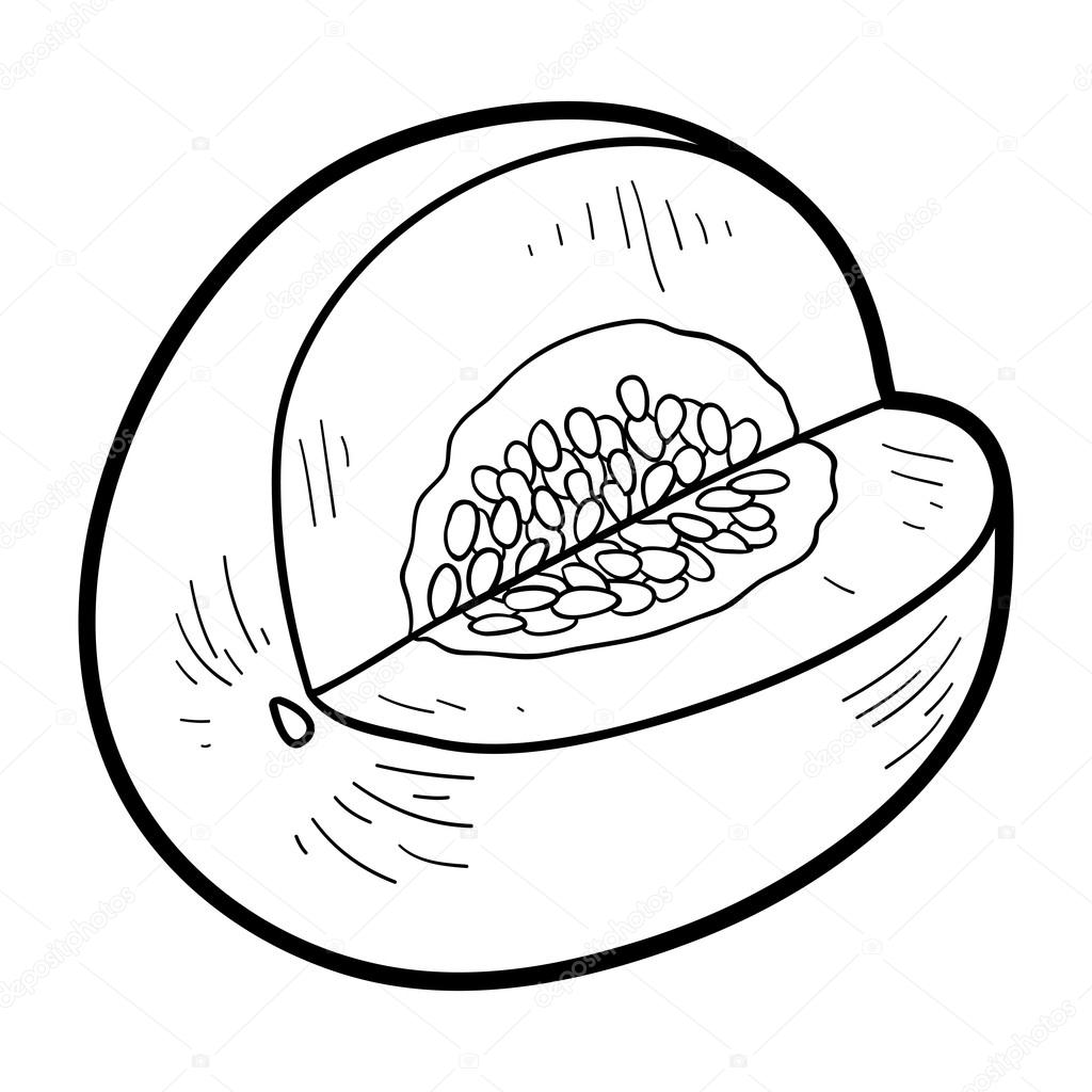 Featured image of post How To Draw A Honeydew Melon Here is some insight on what i do time to time not my first time i draw a honeydew but its probably the best i have done that isnt just a 10 second doodle