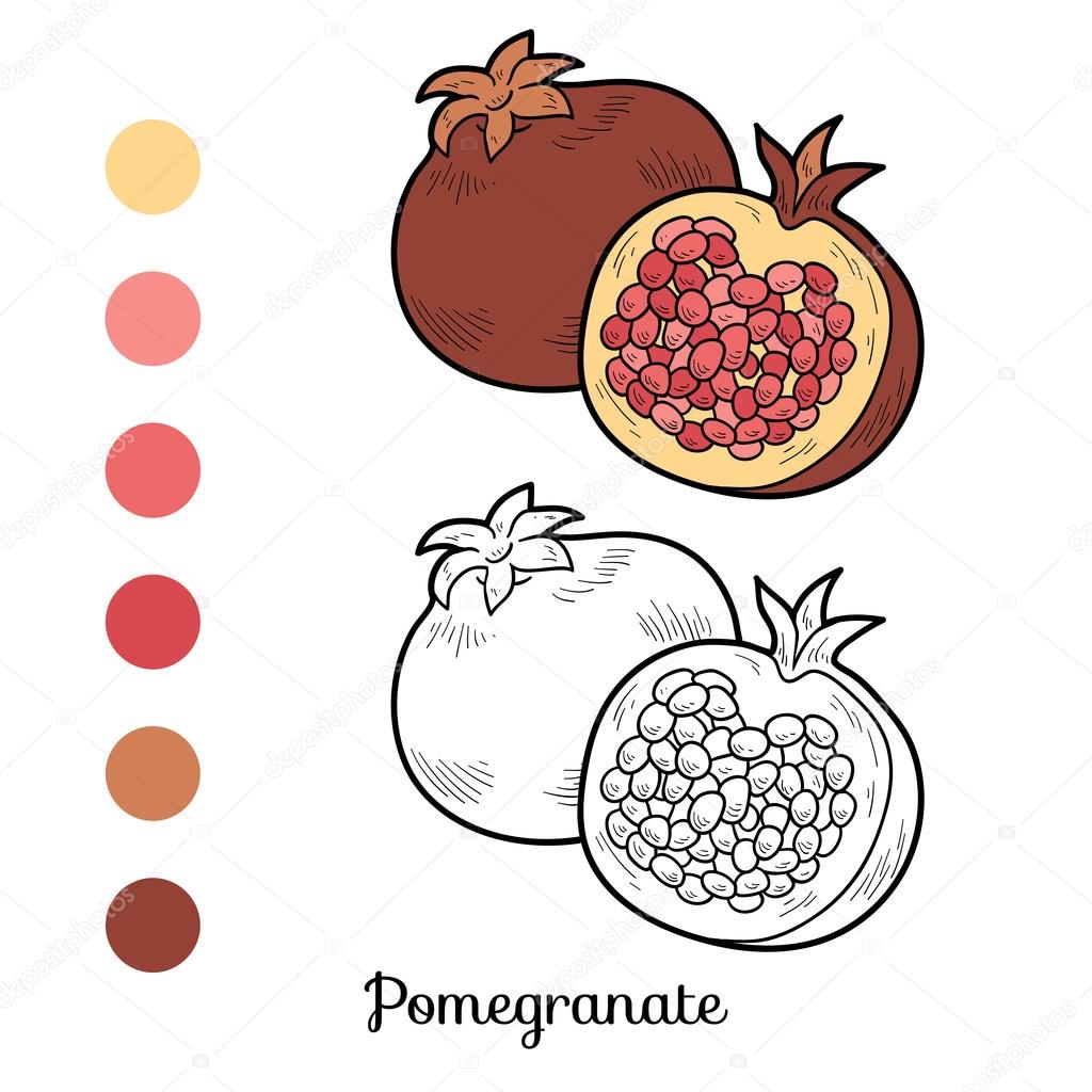 Coloring book: fruits and vegetables (pomegranate)