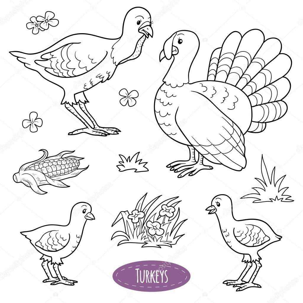 Set of cute farm animals and objects, vector family turkeys