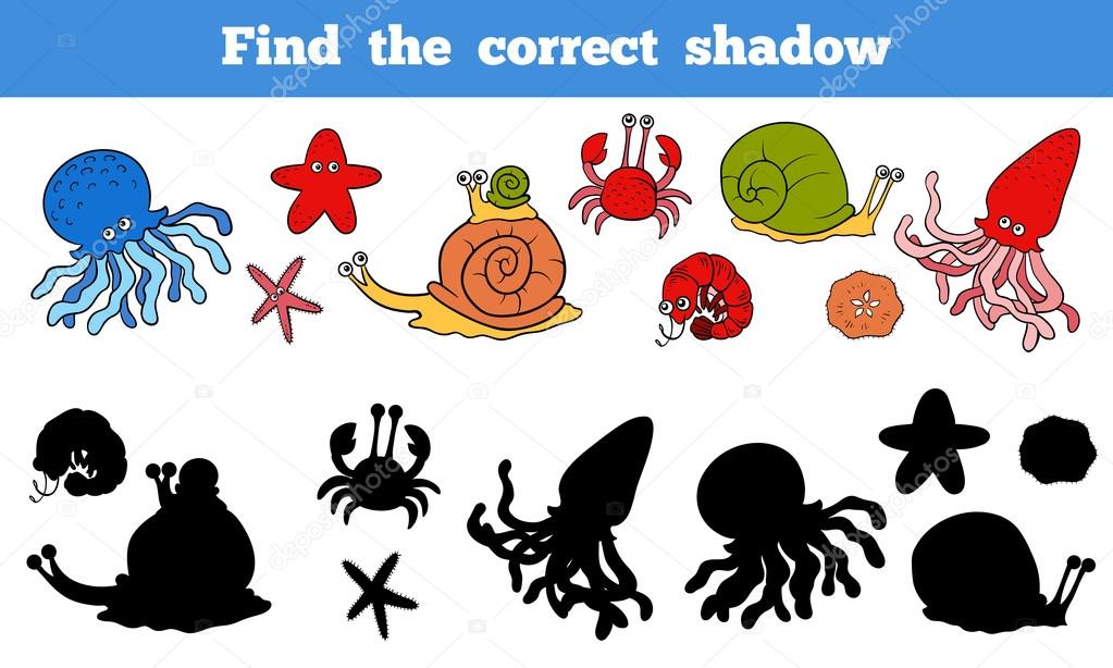 Find the correct shadow (sea life, fish, octopus, snail, stars, 