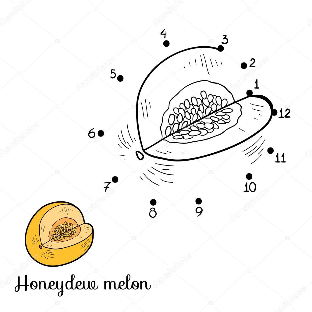 Numbers game: fruits and vegetables (honeydew melon)