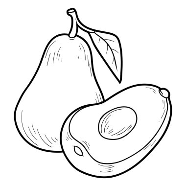 Boyama kitabı oyunu: meyve ve sebze (avokado)