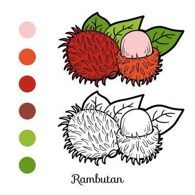 Boyama kitabı oyunu: meyve ve sebze (rambutan)