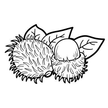 Boyama kitabı oyunu: meyve ve sebze (rambutan)