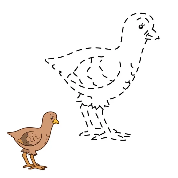 Connect the dots game: farm bird (turkey) — Stock Vector