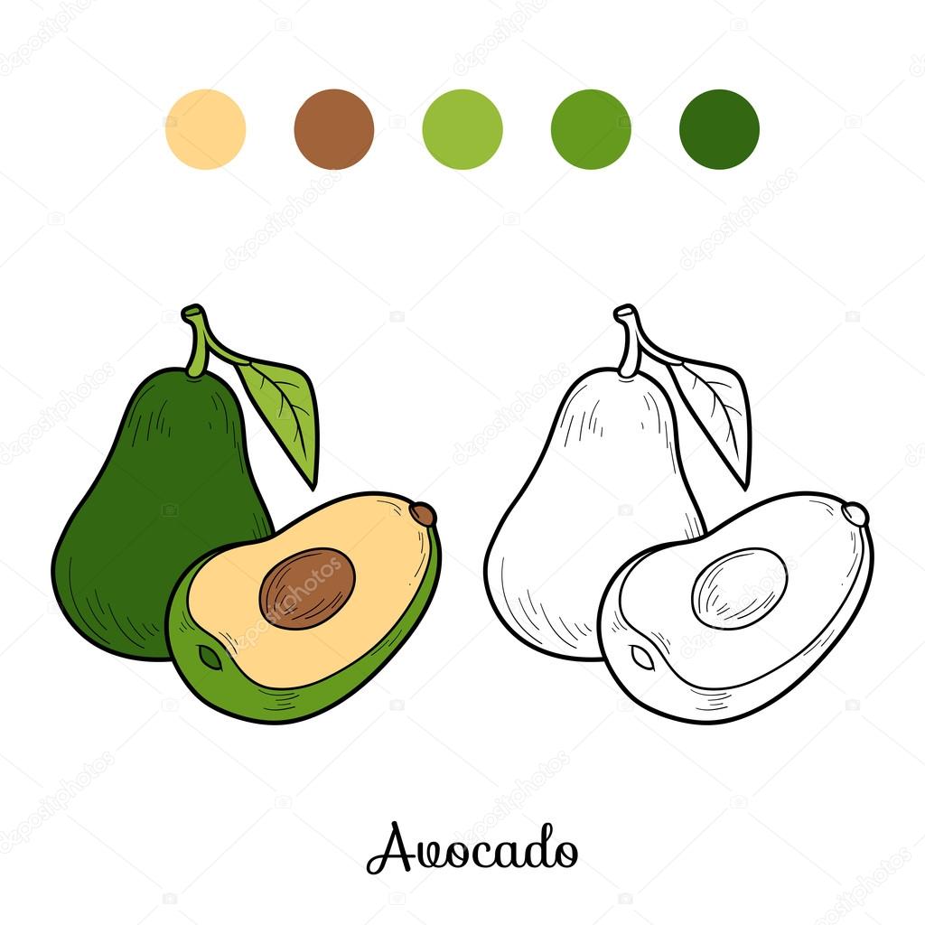 Coloring book game: fruits and vegetables (avocado)