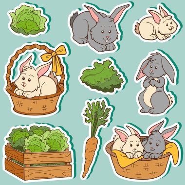 Color set of cute domestic animals and objects, vector family ra clipart