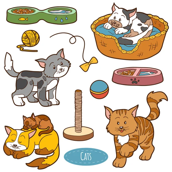 Color set of cute domestic animals and objects, vector family ca — Stock Vector