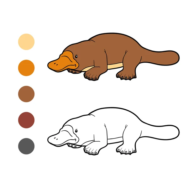 Coloring book for children: platypus — Stock Vector