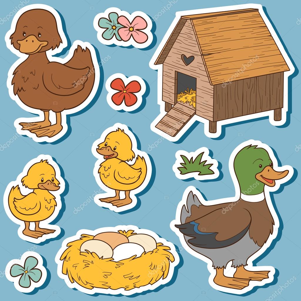 Color set of cute farm animals and objects, vector family duck a