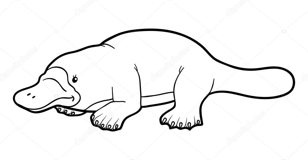 Coloring book for children platypus Stock Vector