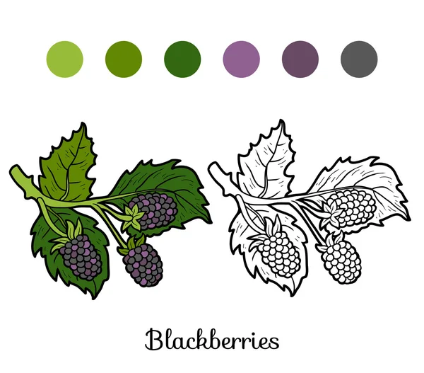 Buku mewarnai: buah-buahan dan sayuran (blackberry ) - Stok Vektor