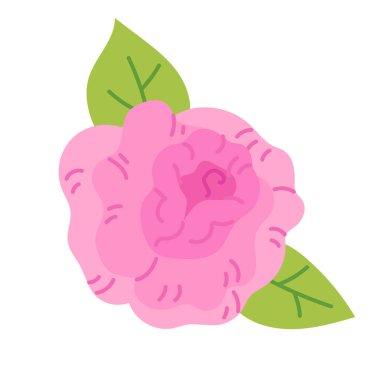 Yeşil yapraklı pembe gül çiçeği. Düz vektör çizimi beyaz arkaplanda izole edildi. Tebrik kartı tasarımı ve dekoratif doğa projeleri için nazik çiçek unsuru