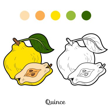 Coloring book for children: fruits and vegetables (quince) clipart