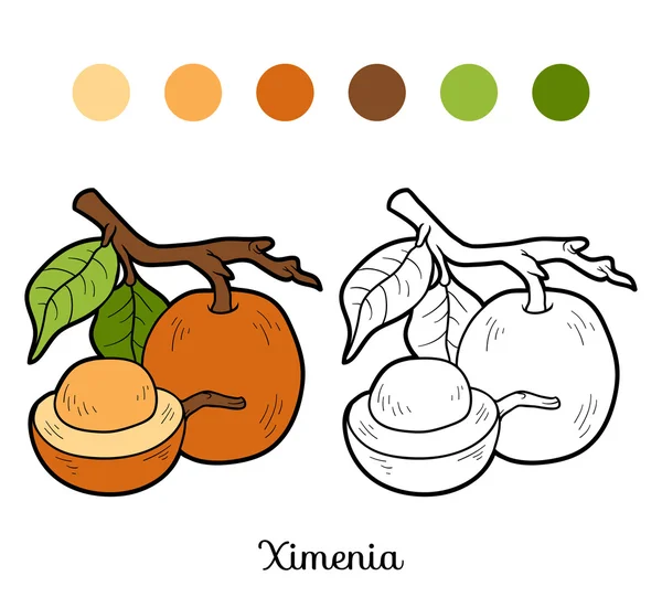 Målarbok för barn: frukt och grönsaker (ximenia) — Stock vektor