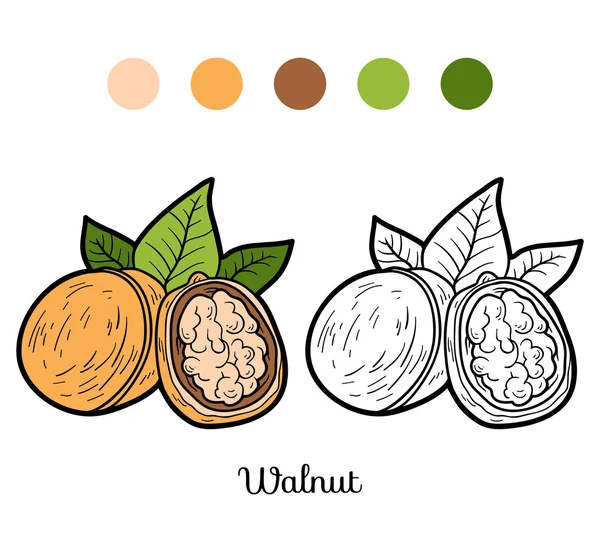 Libro para colorear para niños: frutas y verduras (nuez ) — Vector de stock