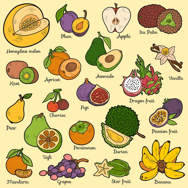 Кольоровий набір з тропічними фруктами, векторні мультиплікаційні наклейки — стоковий вектор