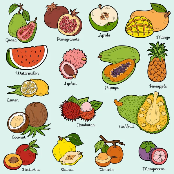 Tropikal meyve kümesiyle renk, çizgi film Etiketler vektör — Stok Vektör