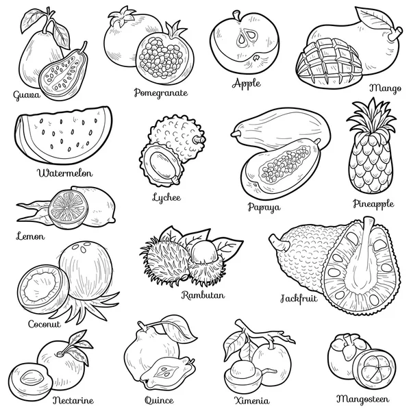 Set incoloro con frutas tropicales, pegatinas de dibujos animados vectoriales — Archivo Imágenes Vectoriales