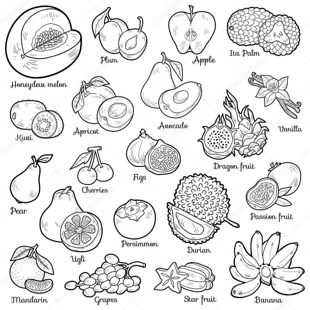 Colorless set with tropical fruits, vector cartoon stickers