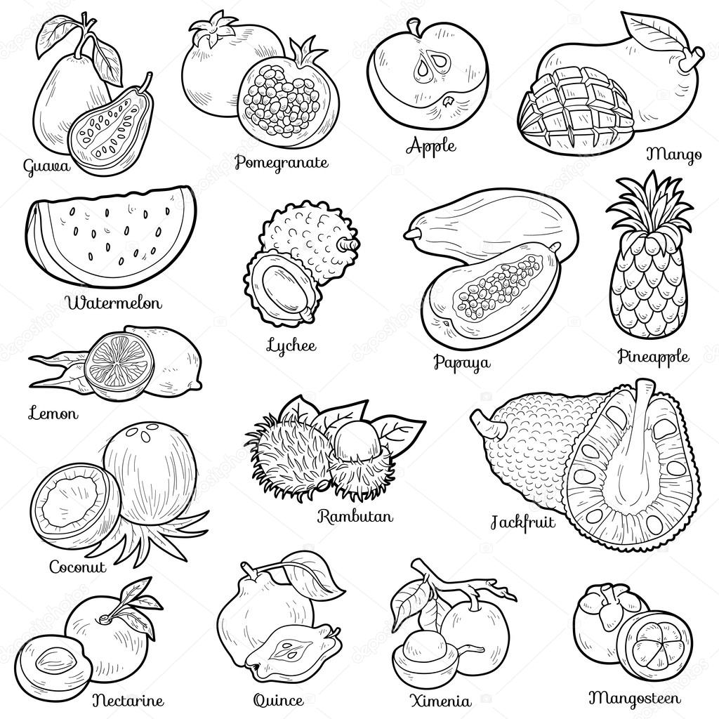Colorless set with tropical fruits, vector cartoon stickers