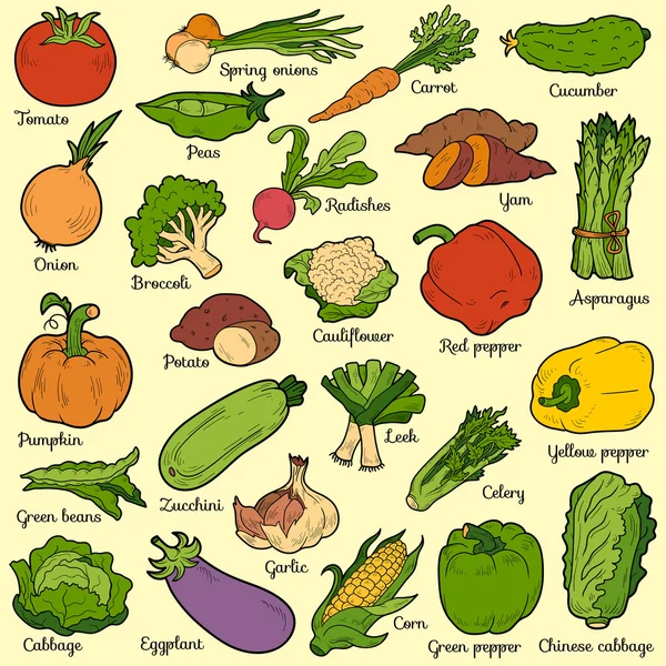 Juego de colores con verduras, pegatinas de dibujos animados vectoriales — Archivo Imágenes Vectoriales